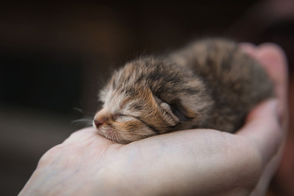 Photograph by Наталия Викторовна