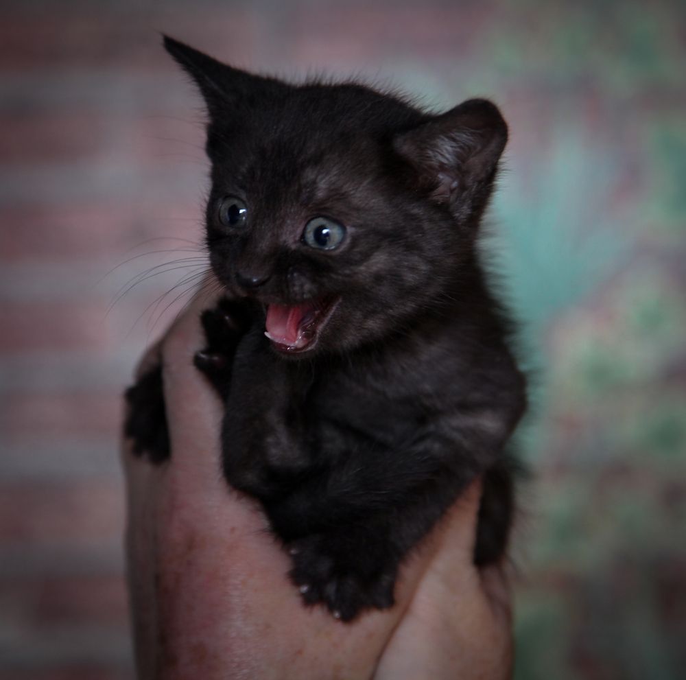 Photograph by Наталия Викторовна