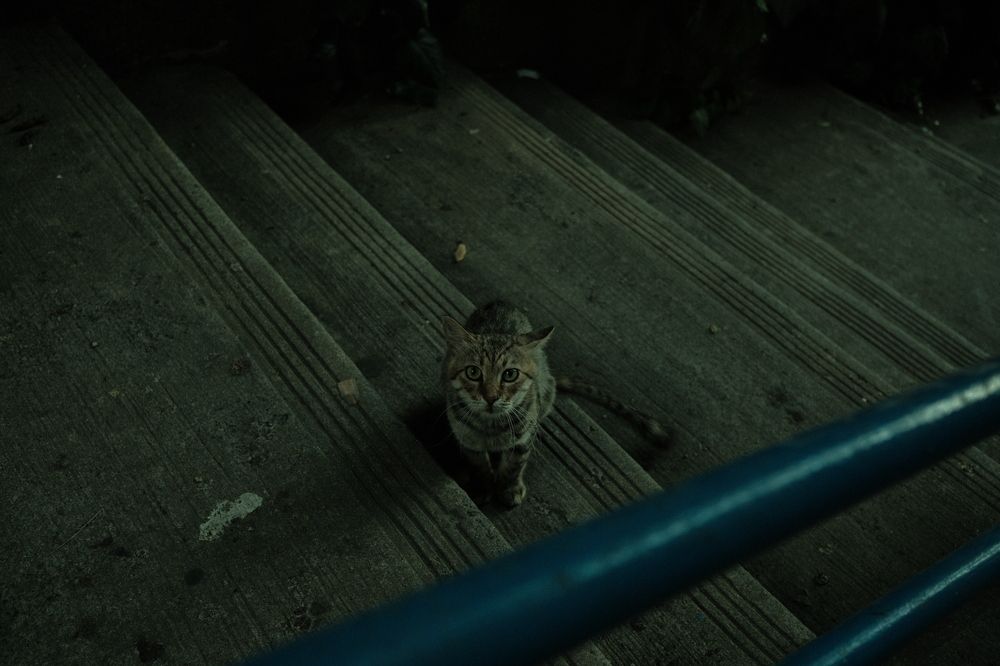 Photograph by Nikita Pushnikov