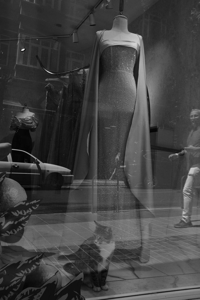 Photograph by Nikita Pushnikov