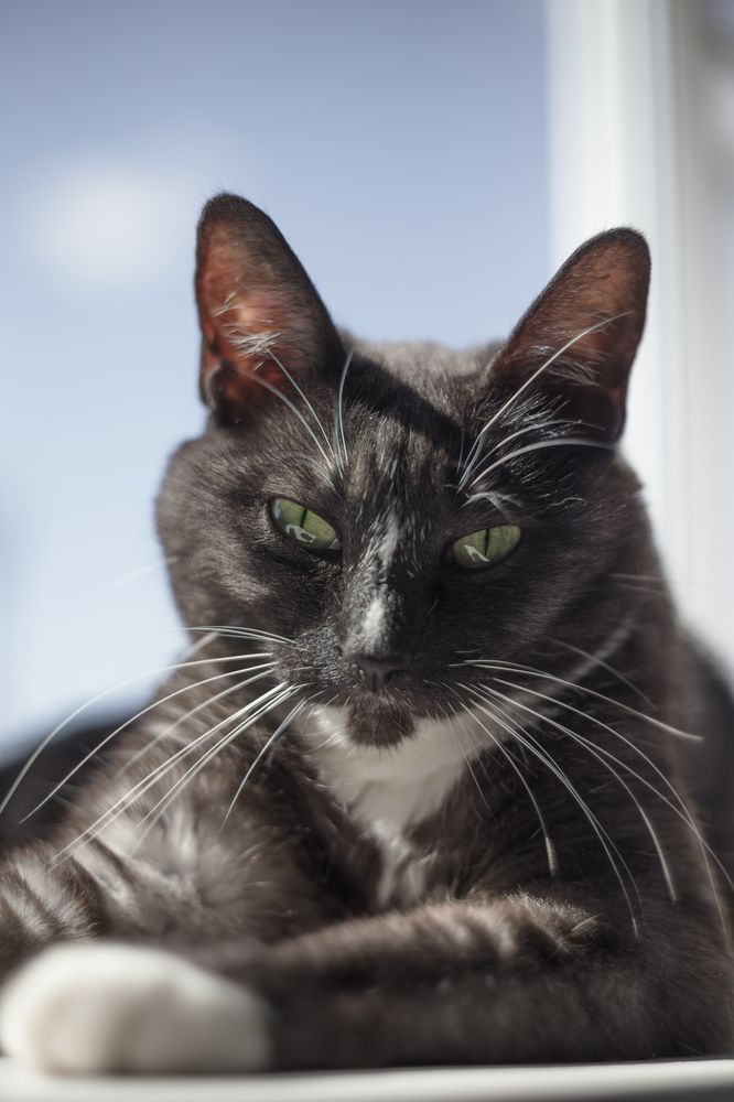 Photograph by Oleg Karpov