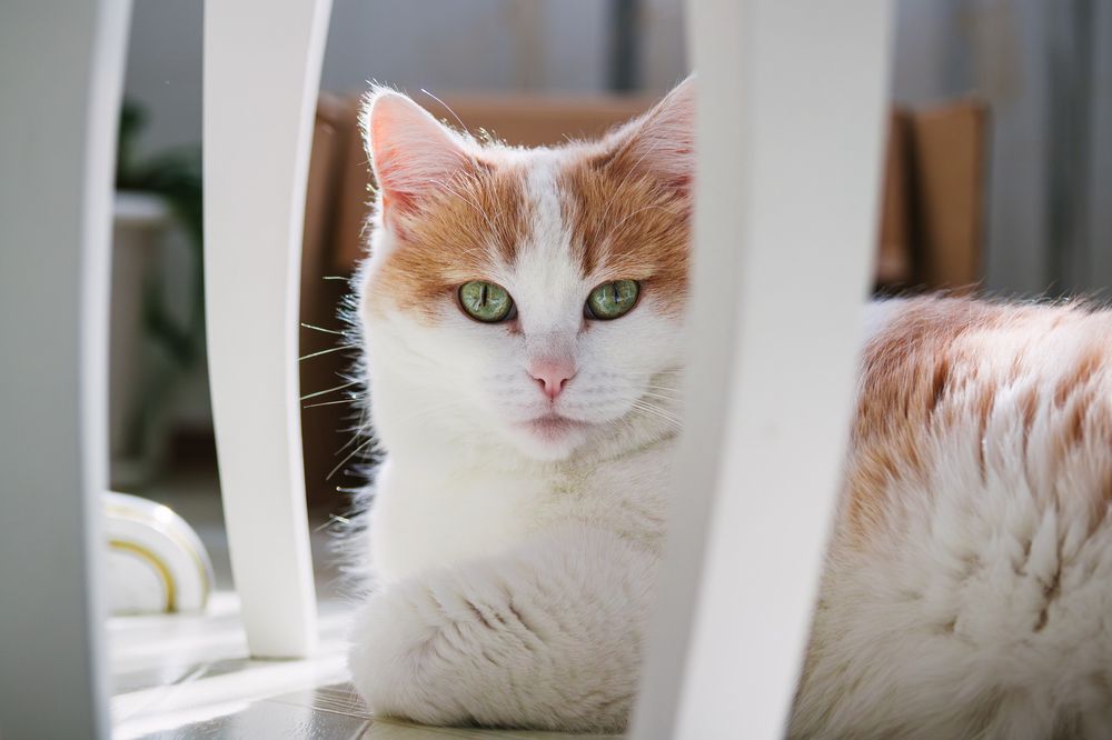 Photograph by Oleg Karpov