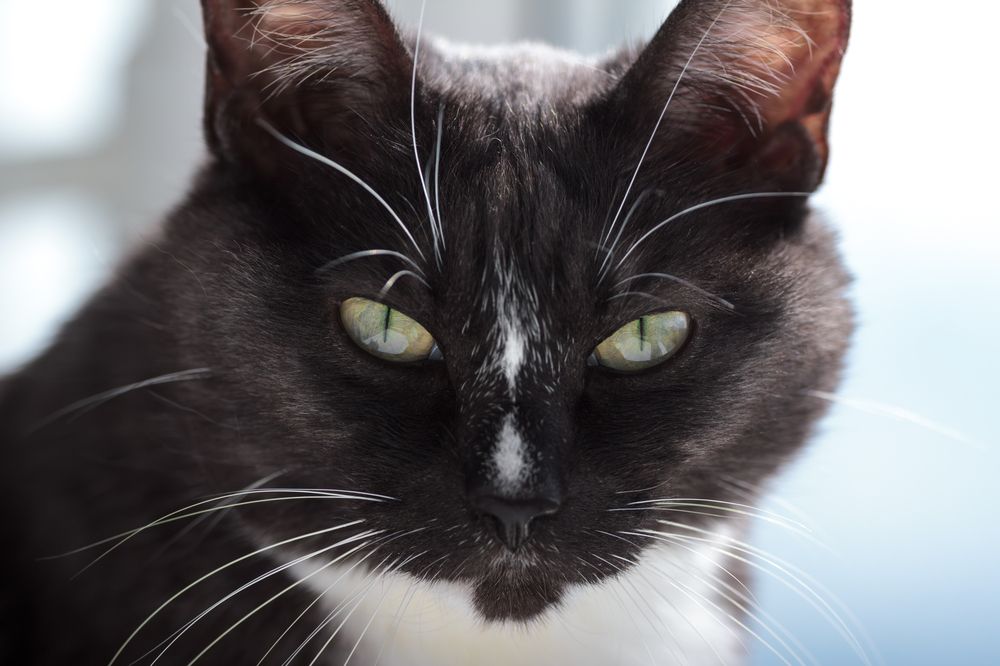 Photograph by Oleg Karpov