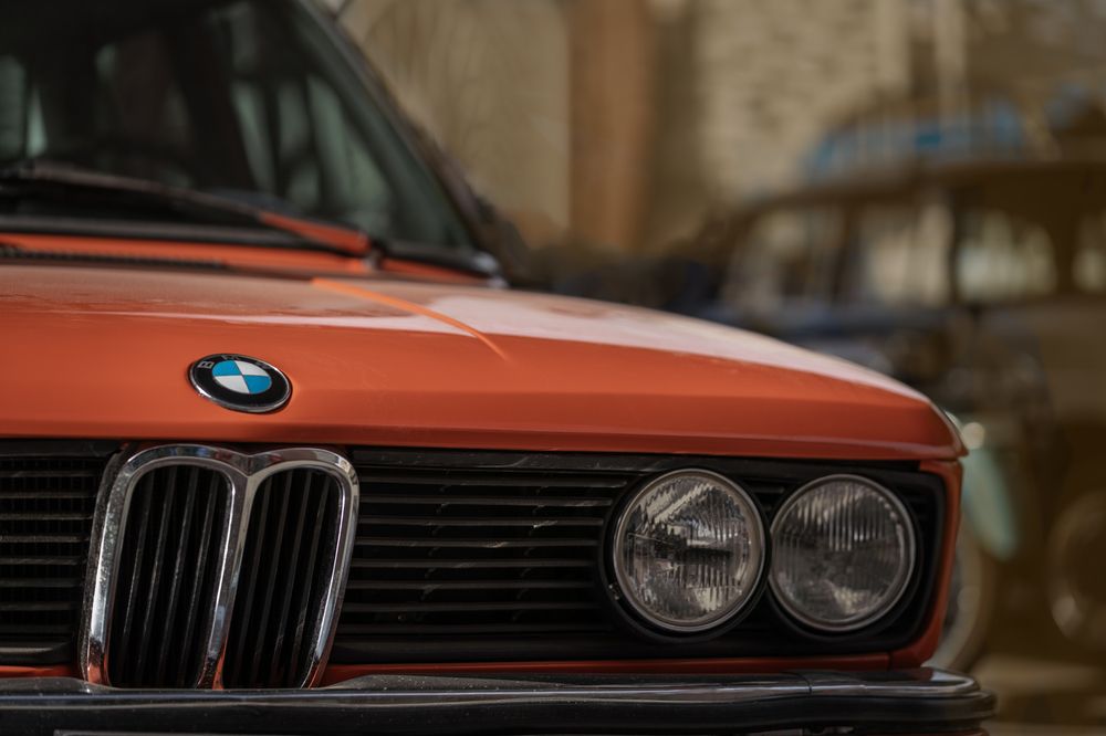 Photograph by Romina Moniri