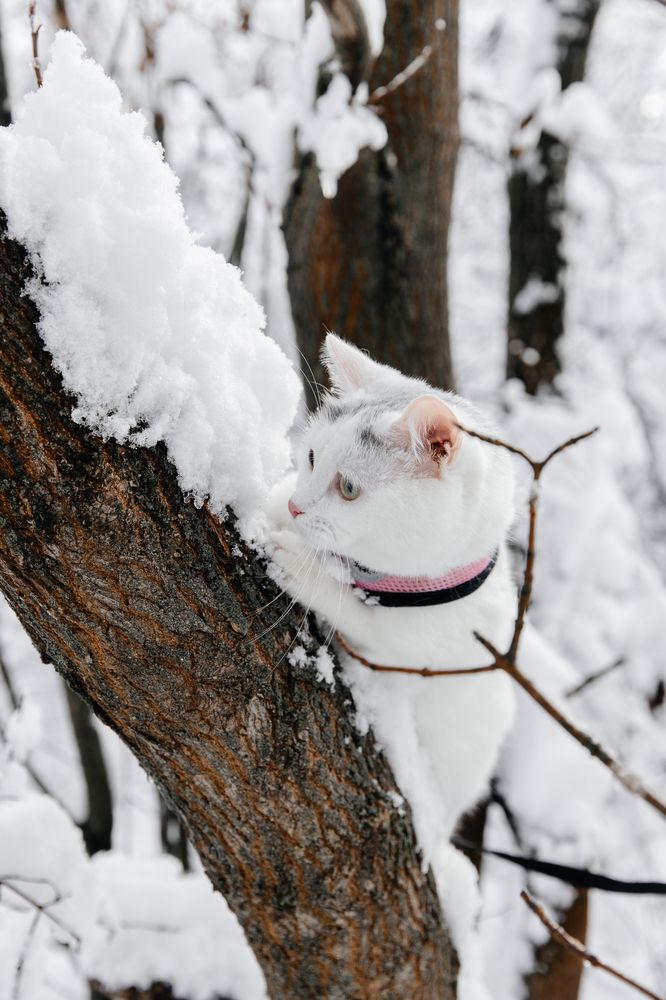 Photograph by Мария Раздорова