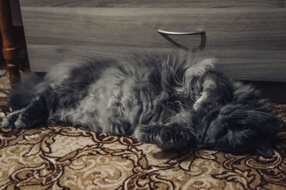 Photograph by Julia Dorofeeva