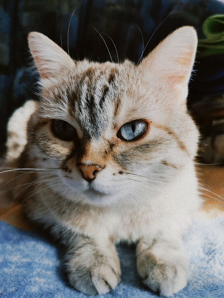 Photograph by Julia Dorofeeva