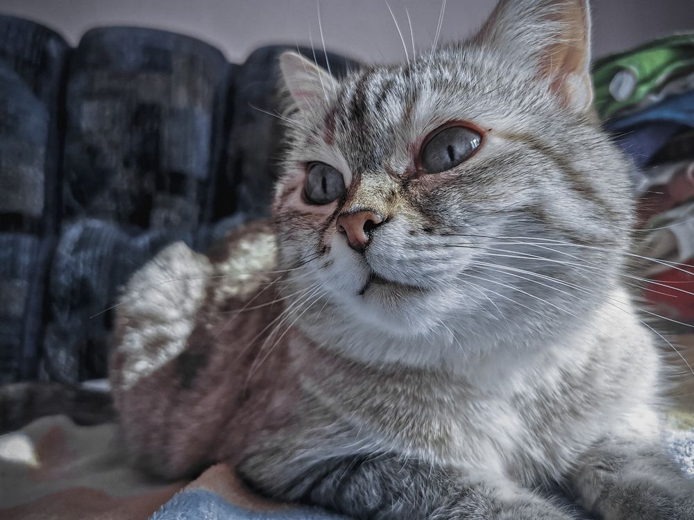 Photograph by Julia Dorofeeva