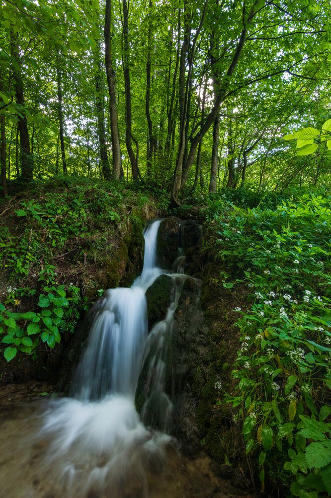 Photograph by Matija Šimunić