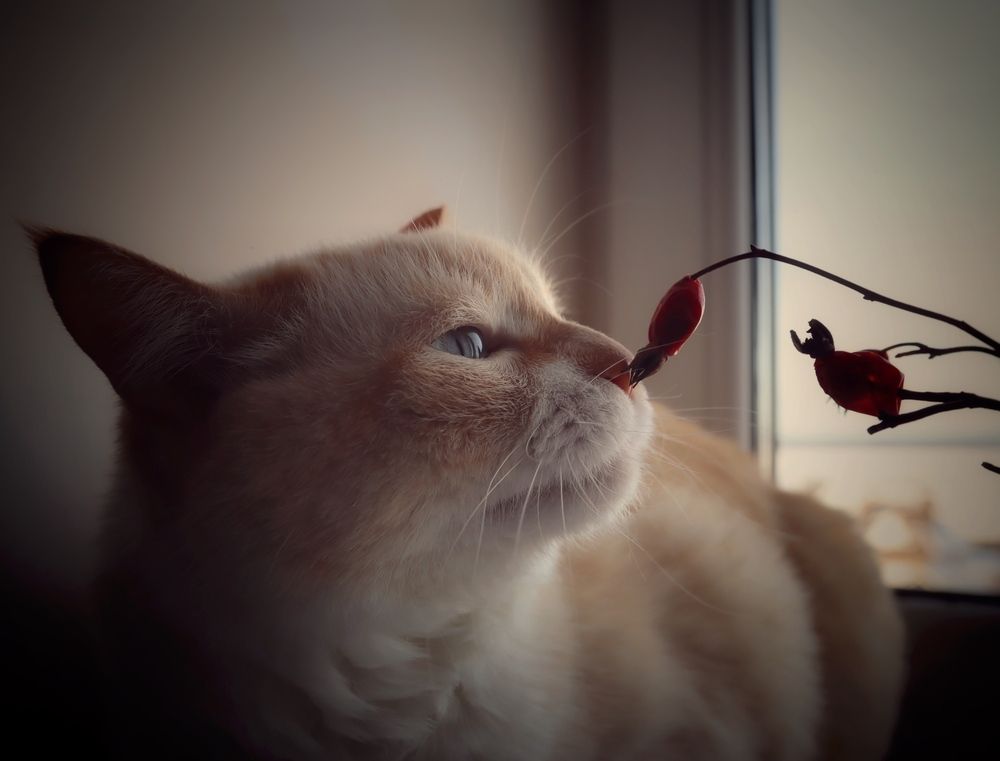 Photograph by Кира Бахвалова