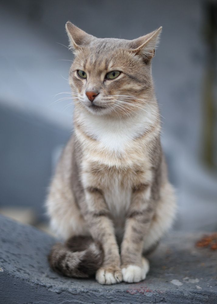 Photograph by Иван Михайленко