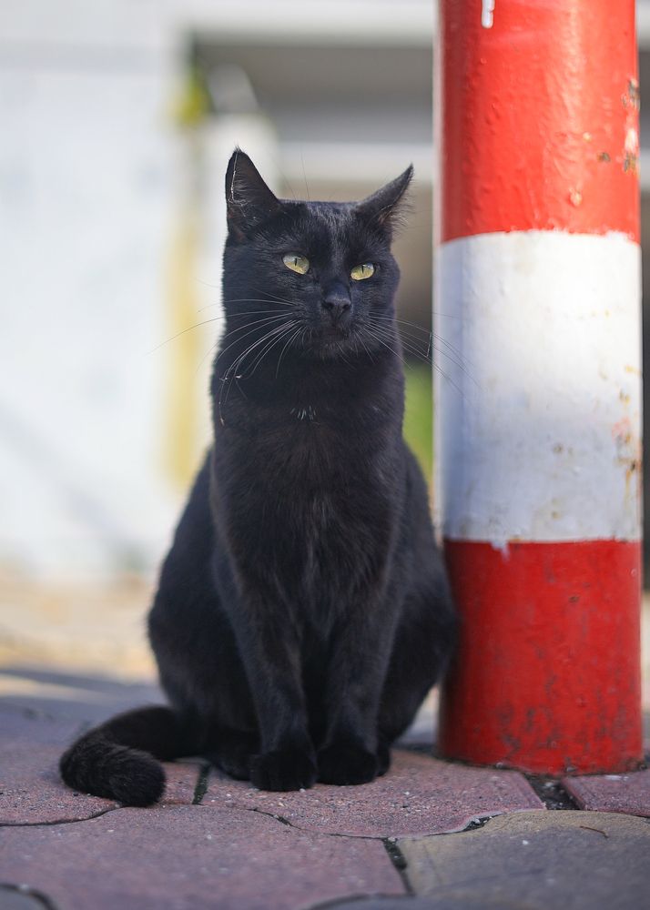 Photograph by Иван Михайленко