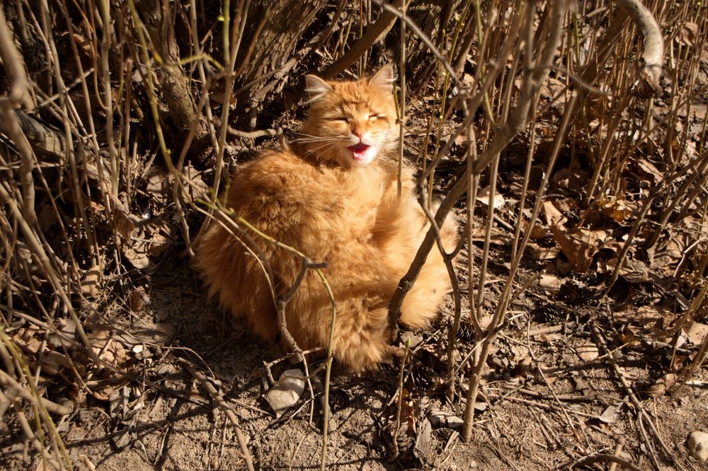 Photograph by Надежда Михайлина