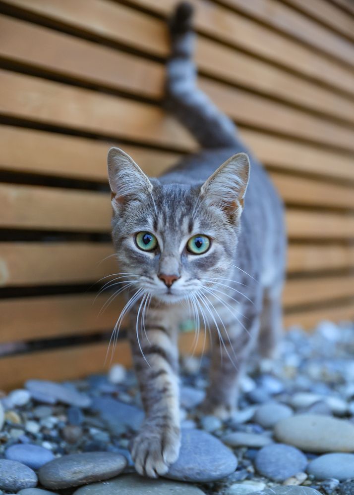 Photograph by Иван Михайленко