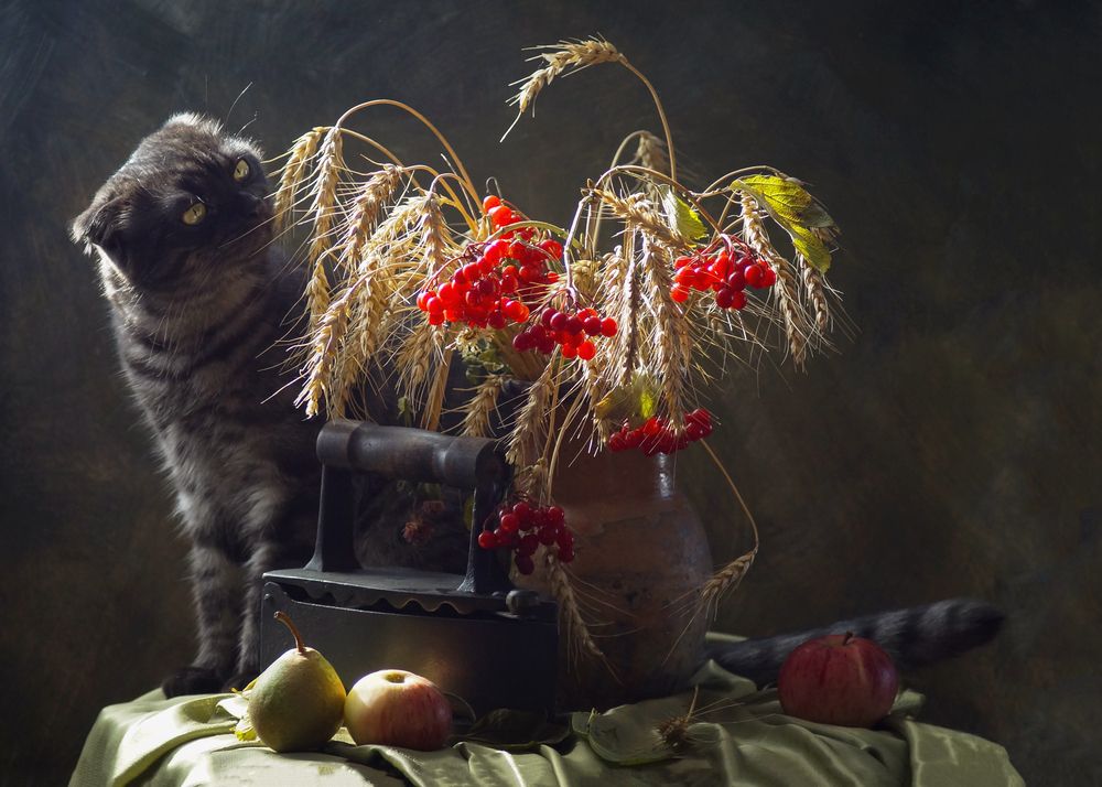 Photograph by Сушкевич Светлана