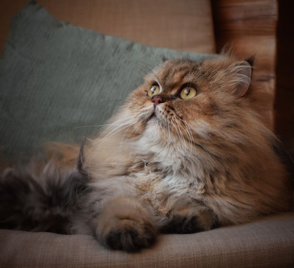 Photograph by Кира Бахвалова