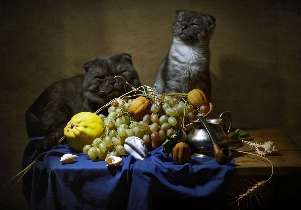 Photograph by Сушкевич Светлана