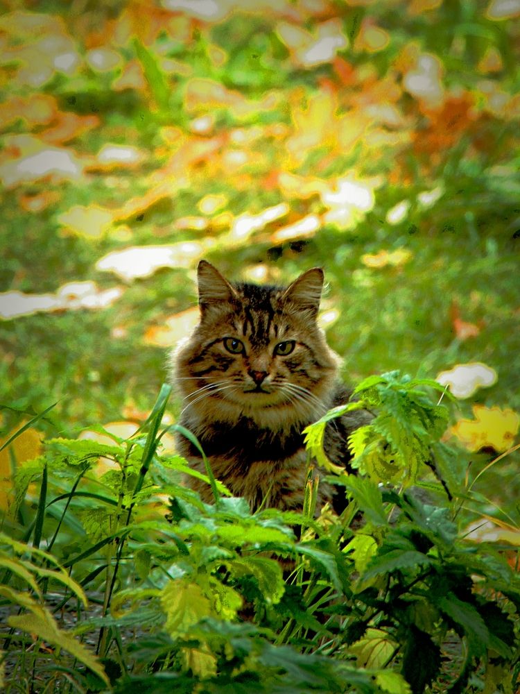 Photograph by Эдуард Петруша