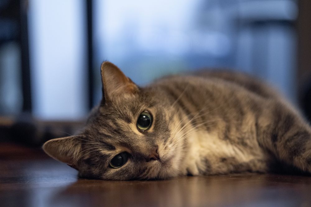 Photograph by Anton Gavrilov