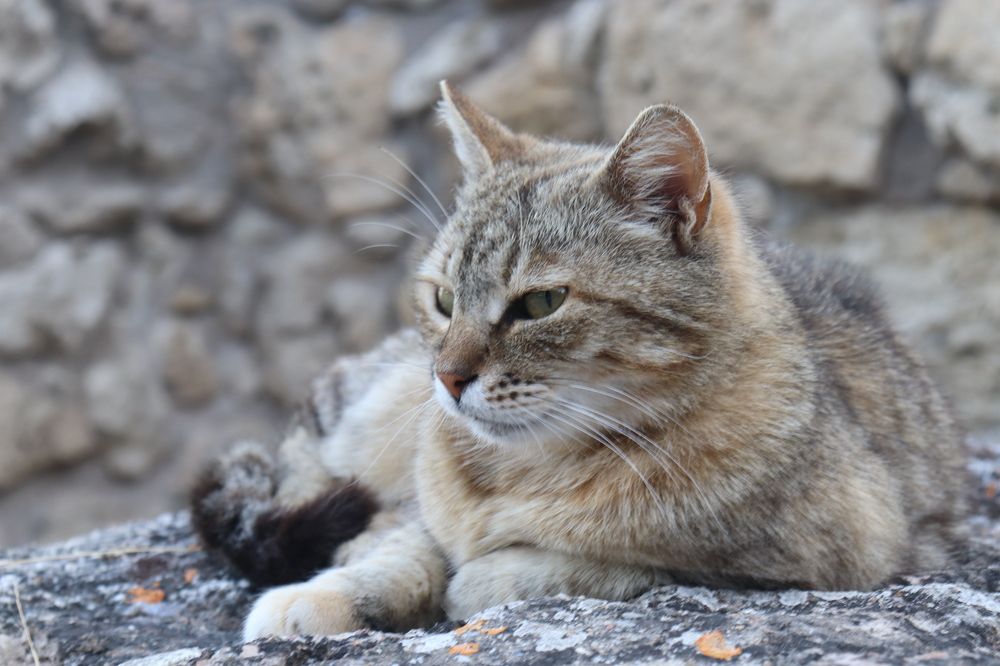 Photograph by Екатерина Колмыченко