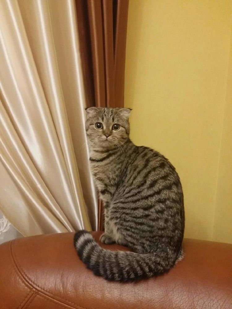 Photograph by Екатерина Колмыченко