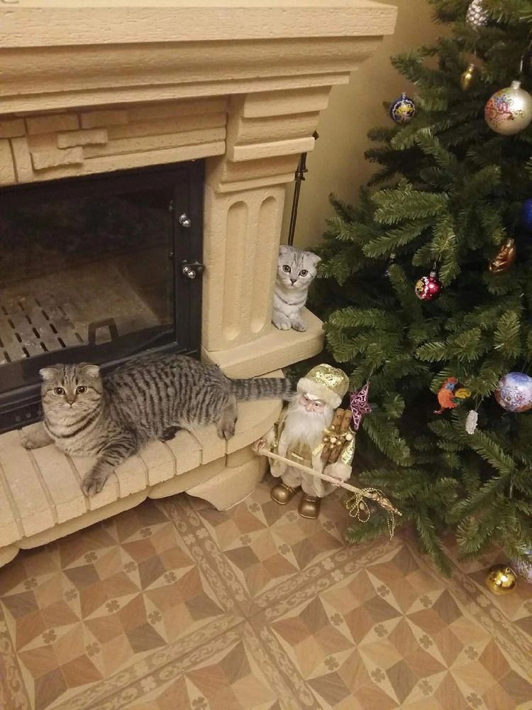 Photograph by Екатерина Колмыченко