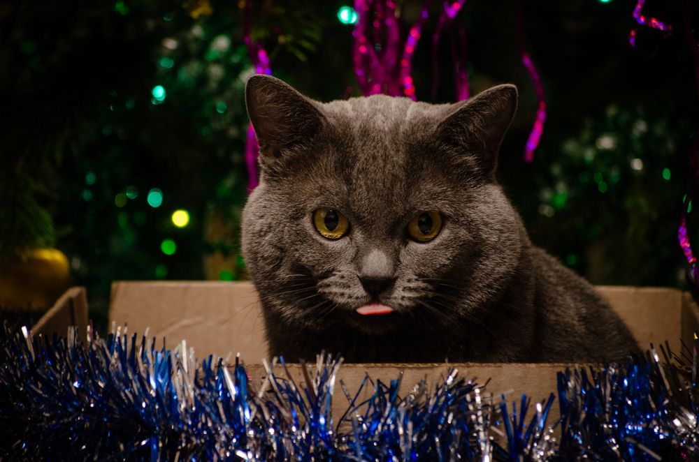 Photograph by Татьяна Герасимцева