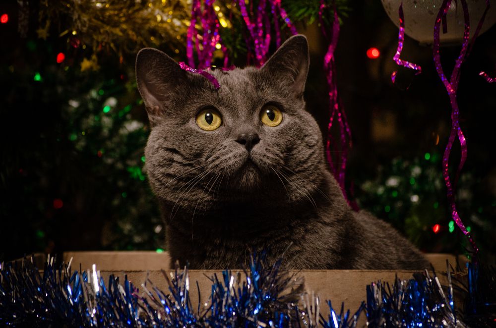 Photograph by Татьяна Герасимцева