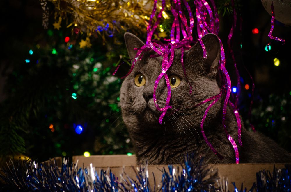 Photograph by Татьяна Герасимцева