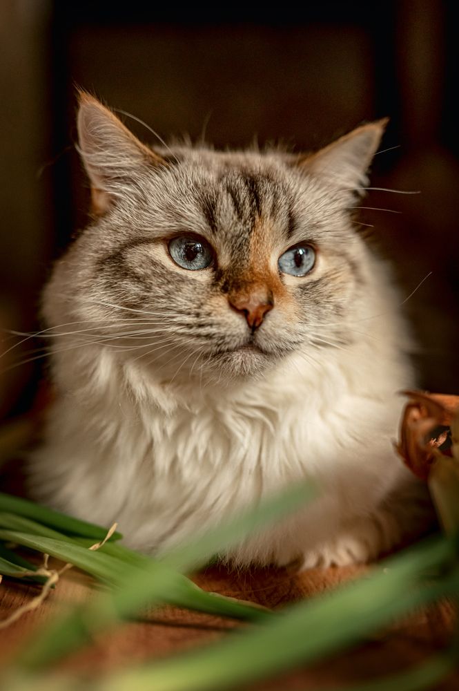 Photograph by Екатерина Каминская