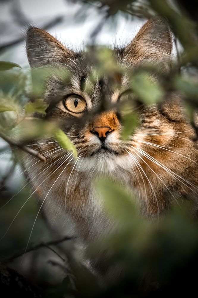 Photograph by Aleksandr Solovev