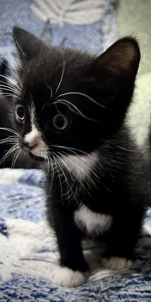 Фотография автора Мария