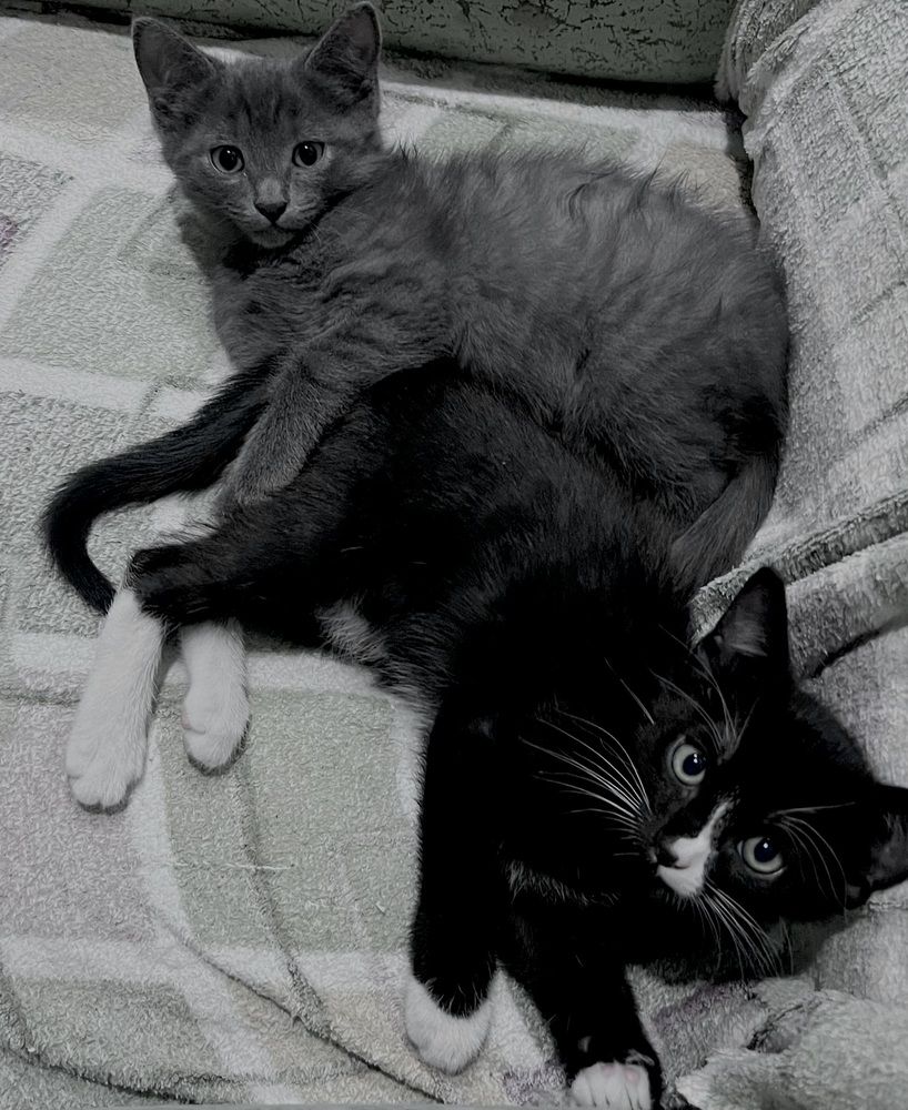 Фотография автора Мария