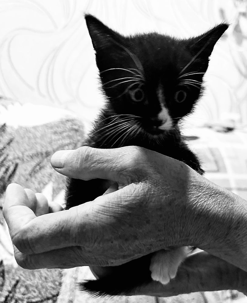 Фотография автора Мария