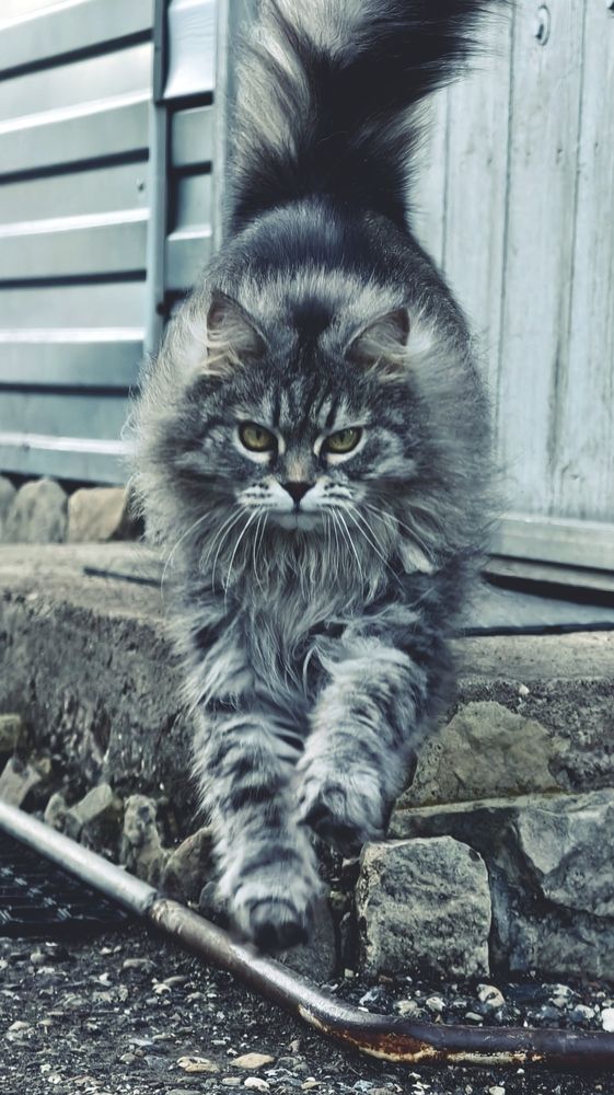 Photograph by Елена Кадаева