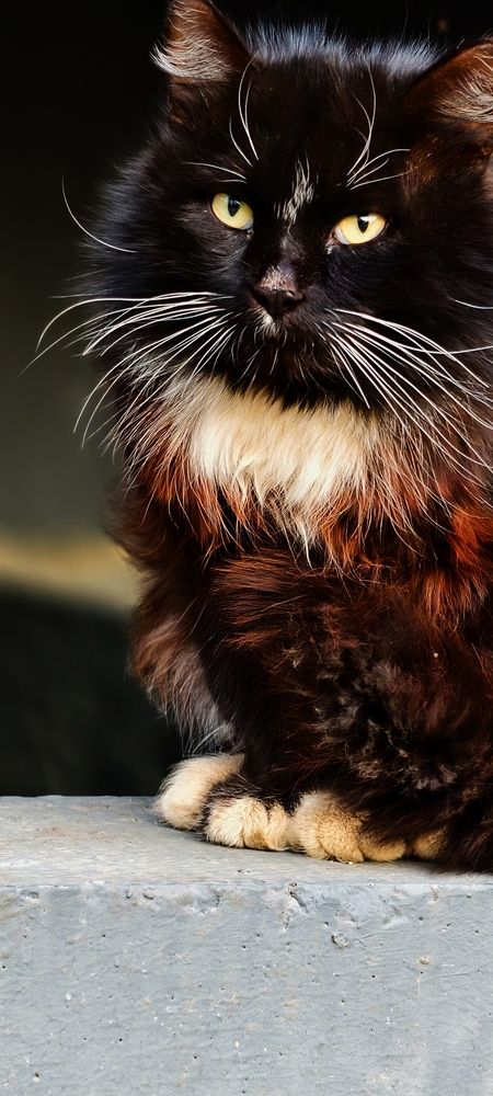 Photograph by Елена Кадаева