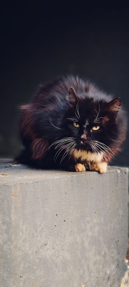 Photograph by Елена Кадаева