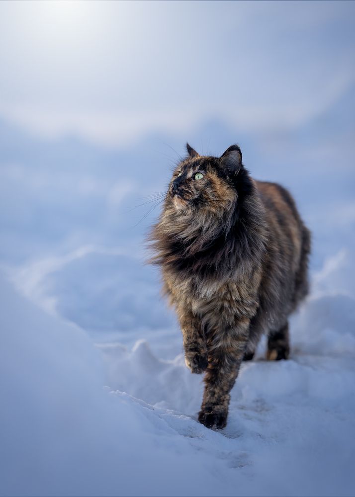 Photograph by Betty Brodie