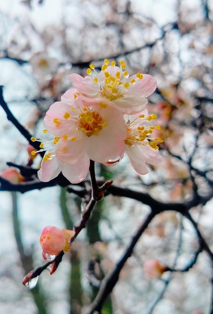 Photograph by Адамян Анна