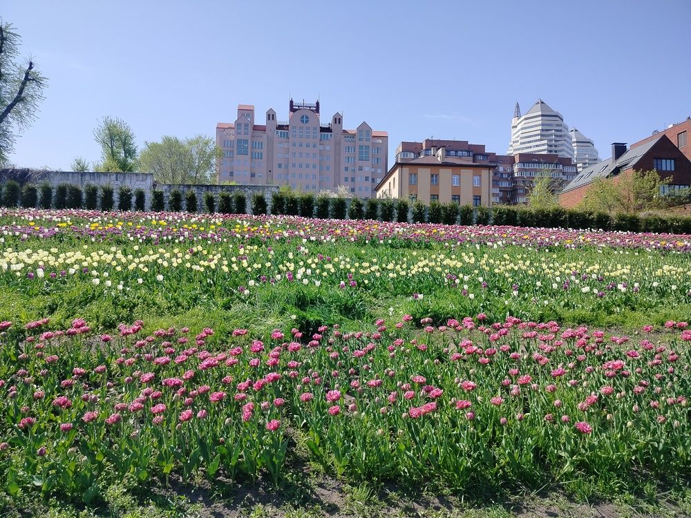 Photograph by Адамян Анна