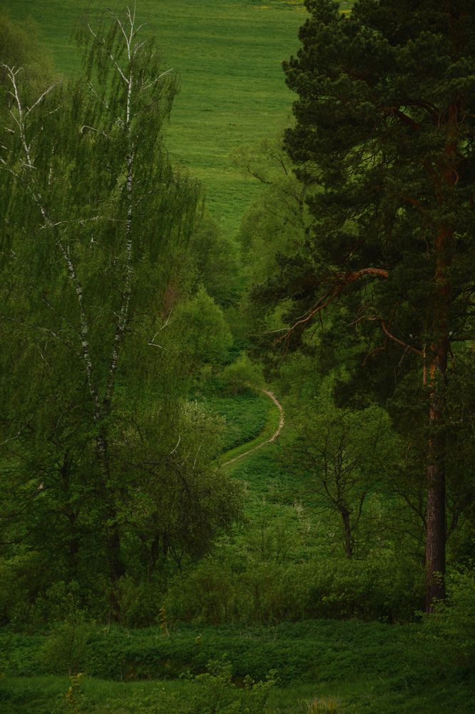 Фотография автора Пиюкова Галина