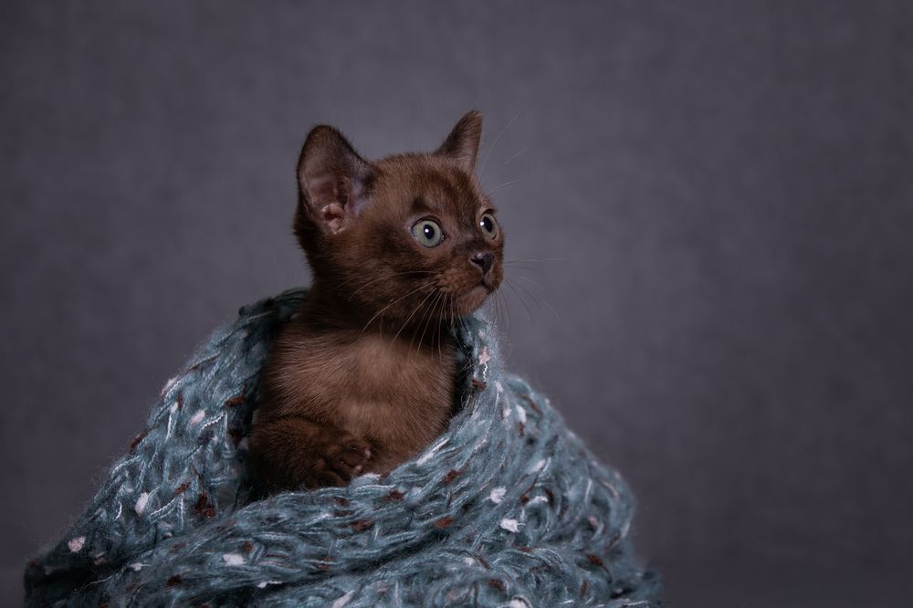 Photograph by Лилия Наконечная