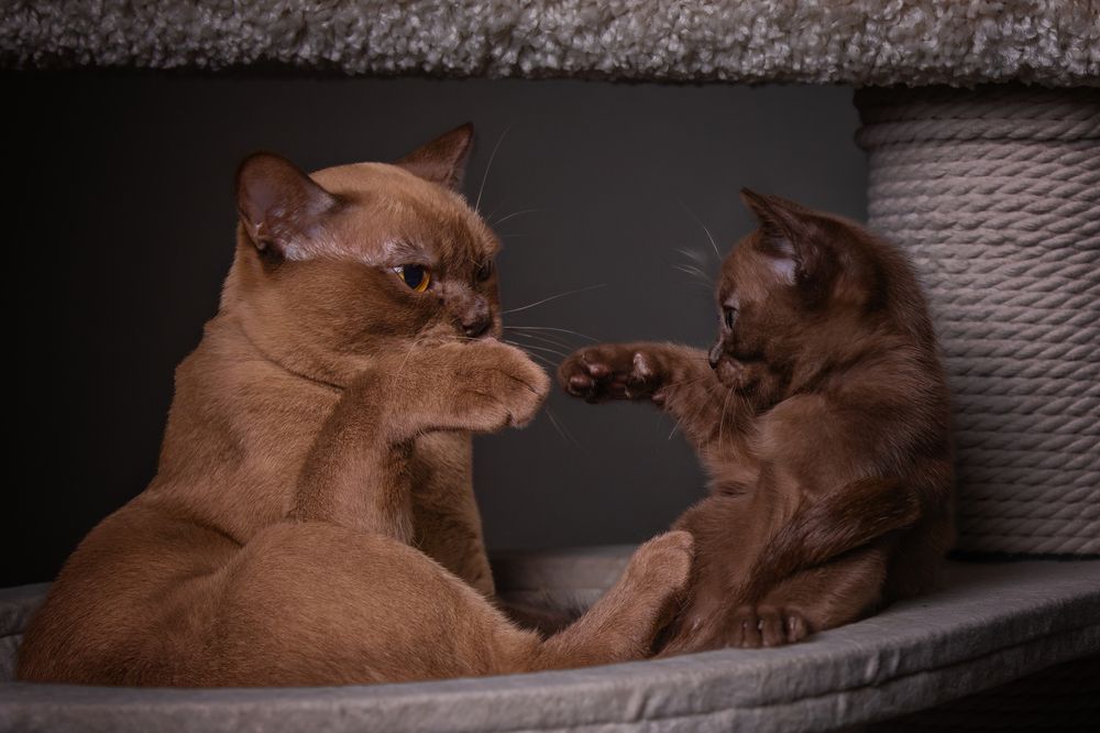 Photograph by Лилия Наконечная