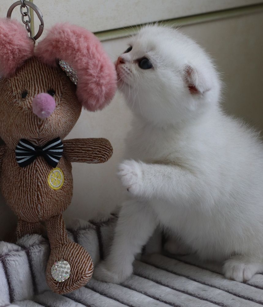 Photograph by Владимир К