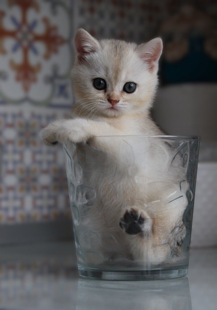 Photograph by Владимир К