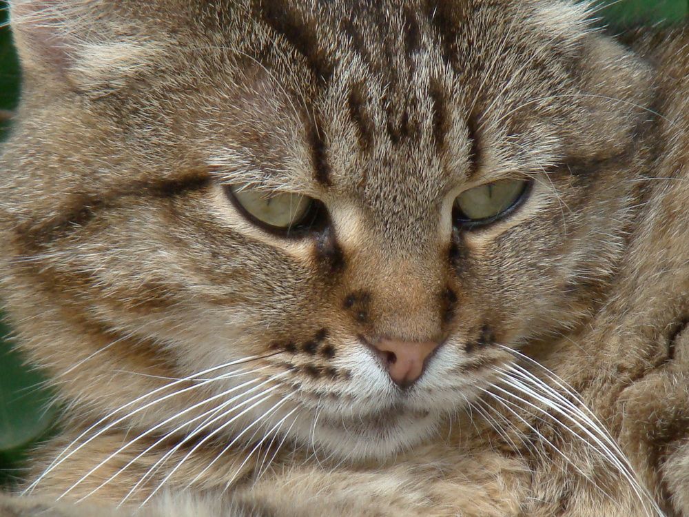 Photograph by Zakharov Matvey