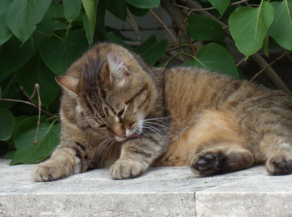 Photograph by Zakharov Matvey