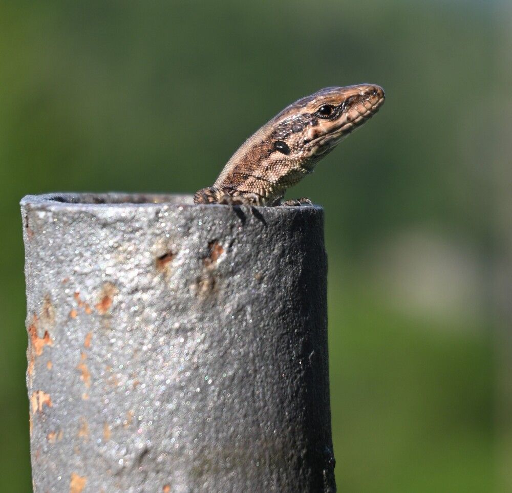 Photograph by MariaVittoria Amoruso