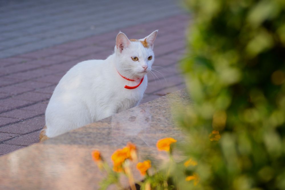 Photograph by Сергей Дишук