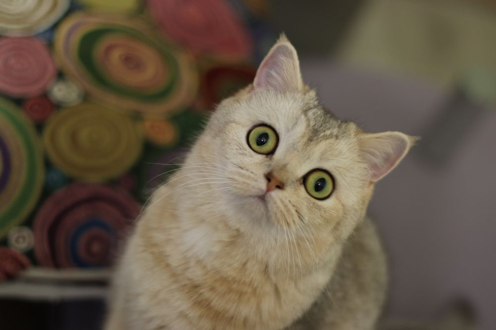 Photograph by Владимир К